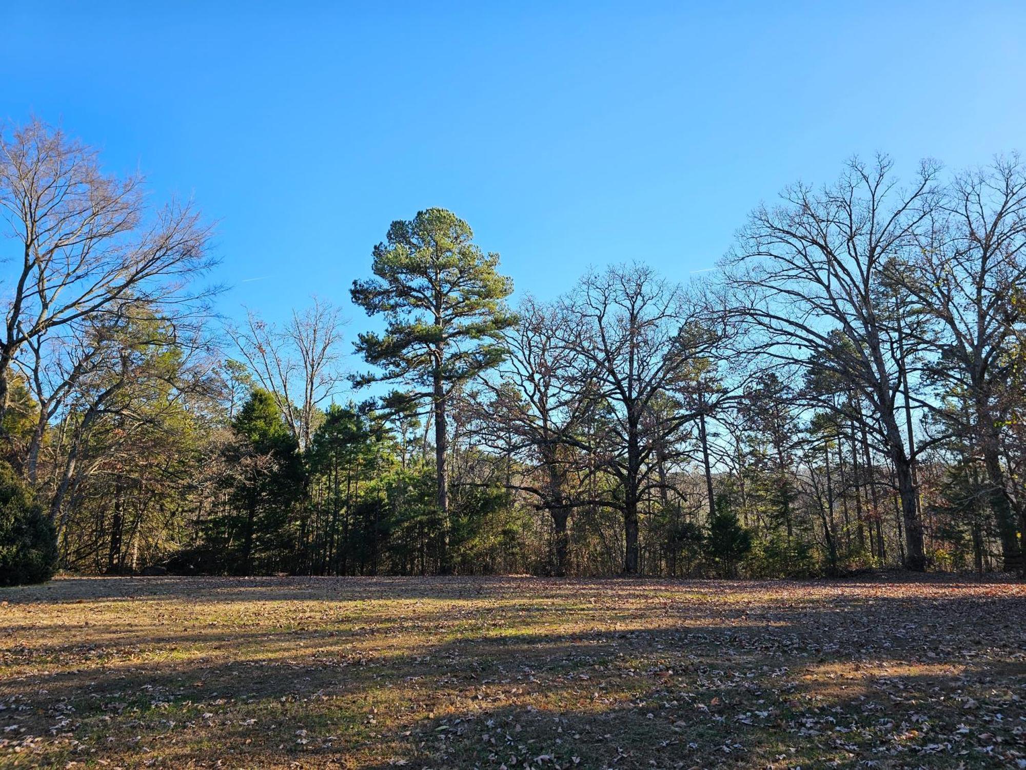 5 Min To Beaver Lake-King Bed-Fire Pit-Jetted Tub #2 Eureka Springs Esterno foto